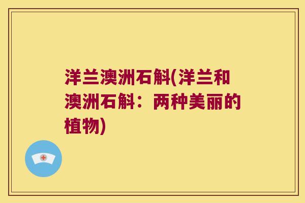 洋兰澳洲石斛(洋兰和澳洲石斛：两种美丽的植物)