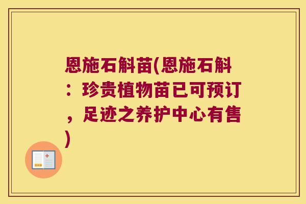 恩施石斛苗(恩施石斛：珍贵植物苗已可预订，足迹之养护中心有售)