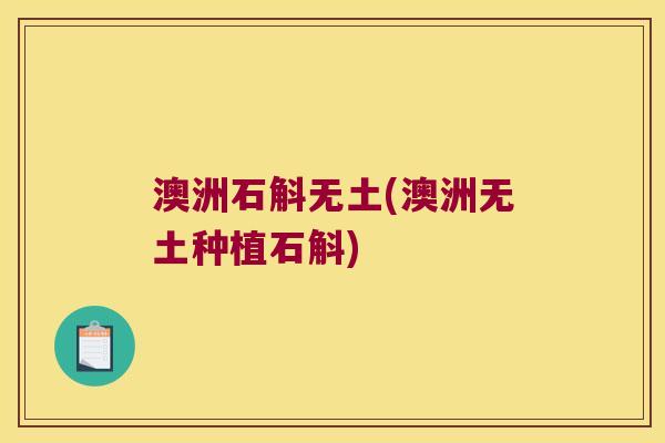 澳洲石斛无土(澳洲无土种植石斛)