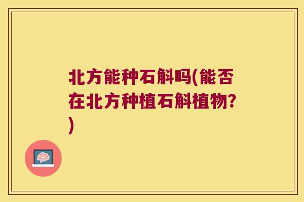 北方能种石斛吗(能否在北方种植石斛植物？)