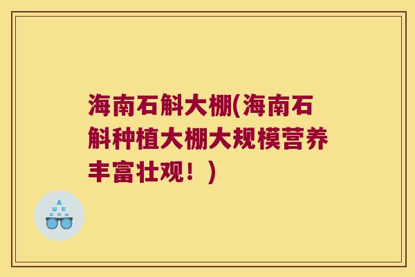 海南石斛大棚(海南石斛种植大棚大规模营养丰富壮观！)