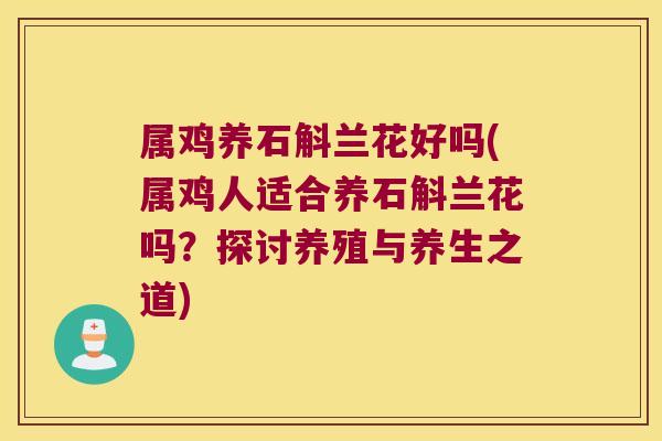 属鸡养石斛兰花好吗(属鸡人适合养石斛兰花吗?探讨养殖与养生之道) 属鸡养石斛兰花好吗(属鸡人适合养石斛兰花吗?探讨养殖与养生之道)