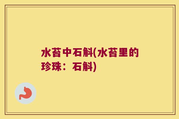 水苔中石斛(水苔里的珍珠:石斛) 水苔中石斛(水苔里的珍珠:石斛)
