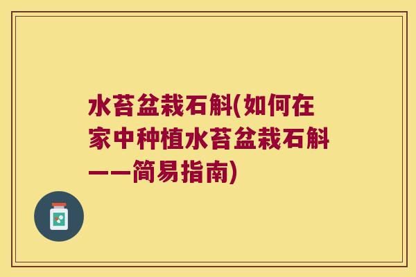 水苔盆栽石斛(如何在家中种植水苔盆栽石斛——简易指南)