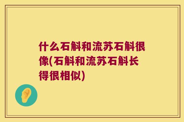 什么石斛和流苏石斛很像(石斛和流苏石斛长得很相似)