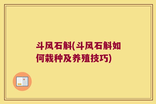 斗风石斛(斗风石斛如何栽种及养殖技巧)