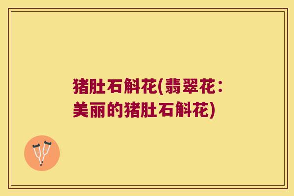猪肚石斛花(翡翠花：美丽的猪肚石斛花)