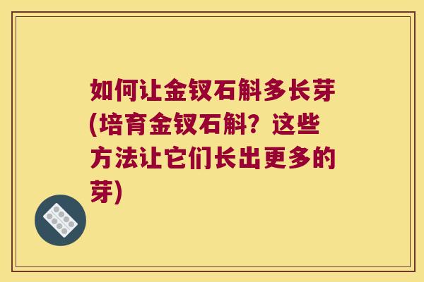 如何让金钗石斛多长芽(培育金钗石斛？这些方法让它们长出更多的芽)