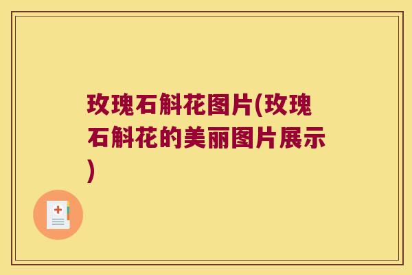 玫瑰石斛花图片(玫瑰石斛花的美丽图片展示)