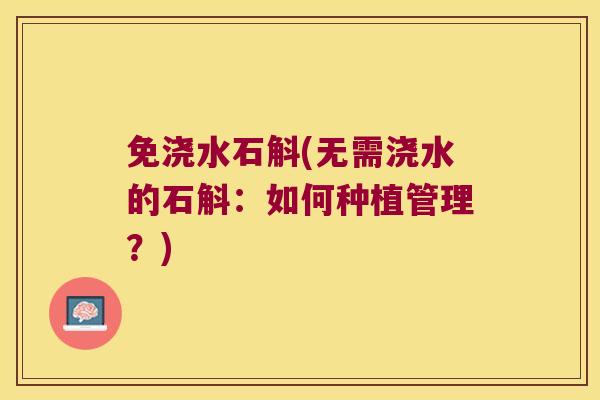 免浇水石斛(无需浇水的石斛：如何种植管理？)