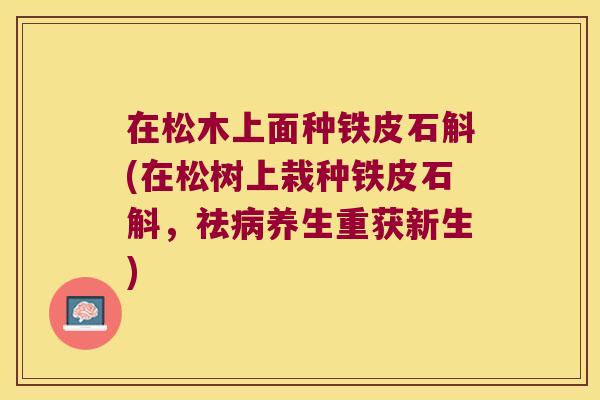 在松木上面种铁皮石斛(在松树上栽种铁皮石斛，祛病养生重获新生)