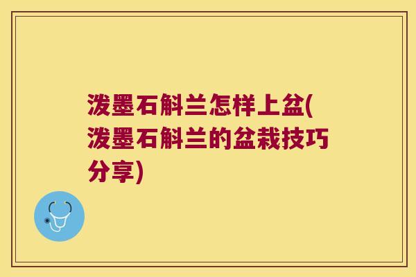 泼墨石斛兰怎样上盆(泼墨石斛兰的盆栽技巧分享)