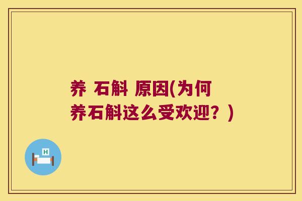 养 石斛 原因(为何养石斛这么受欢迎？)
