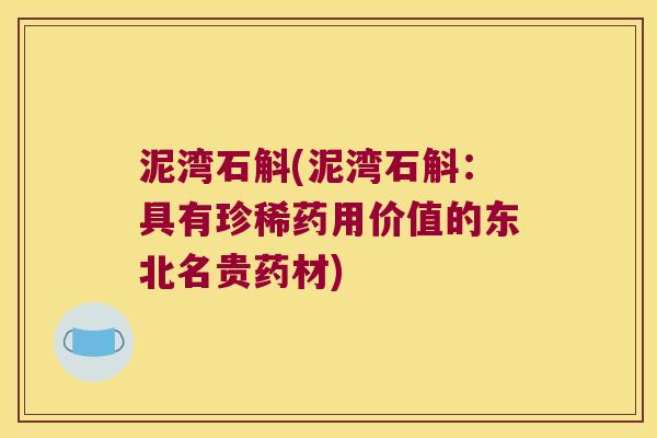 泥湾石斛(泥湾石斛：具有珍稀药用价值的东北名贵药材)