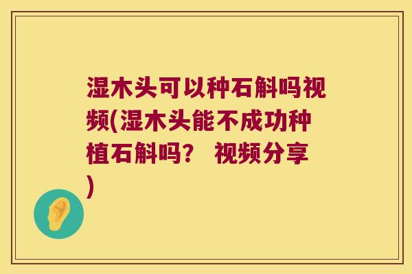 湿木头可以种石斛吗视频(湿木头能不成功种植石斛吗？ 视频分享)