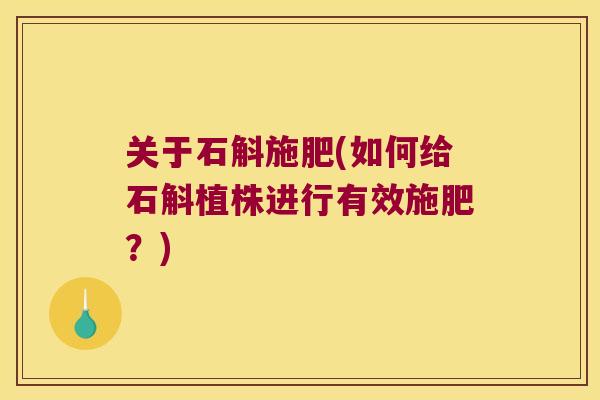 关于石斛施肥(如何给石斛植株进行有效施肥？)