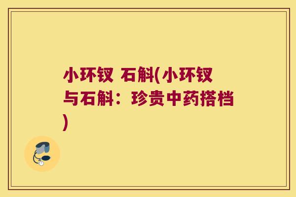 小环钗 石斛(小环钗与石斛:珍贵搭档) 小环钗 石斛(小环钗与石斛:珍贵搭档)