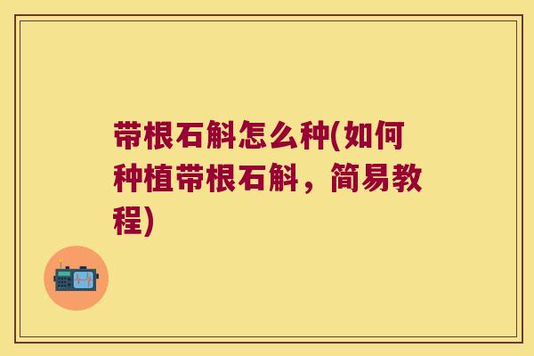 带根石斛怎么种(如何种植带根石斛，简易教程)