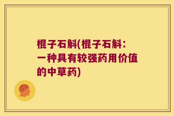 棍子石斛(棍子石斛：一种具有较强药用价值的中草药)
