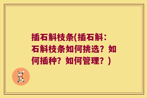 插石斛枝条(插石斛：石斛枝条如何挑选？如何插种？如何管理？)