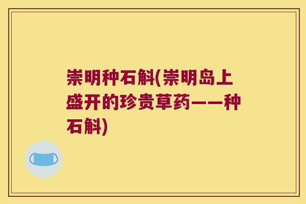 崇明种石斛(崇明岛上盛开的珍贵草药——种石斛)