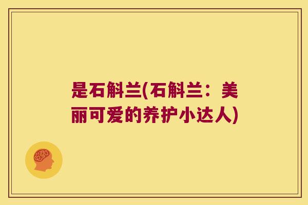是石斛兰(石斛兰：美丽可爱的养护小达人)