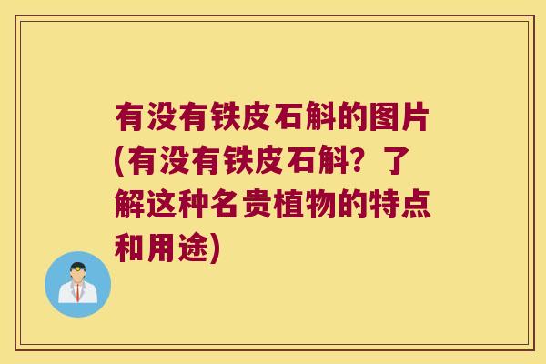 有没有铁皮石斛的图片(有没有铁皮石斛？了解这种名贵植物的特点和用途)