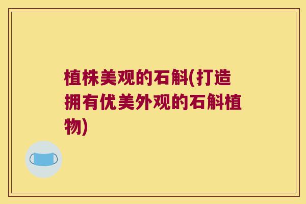 植株美观的石斛(打造拥有优美外观的石斛植物)