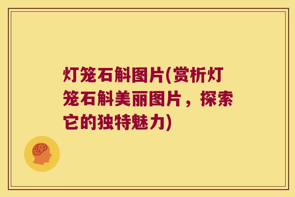 灯笼石斛图片(赏析灯笼石斛美丽图片，探索它的独特魅力)