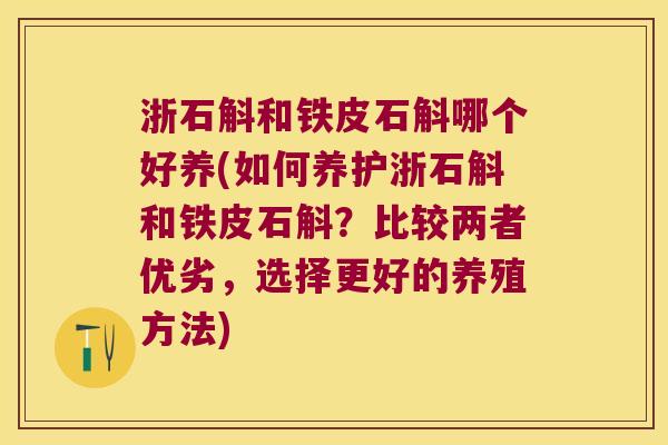 浙石斛和铁皮石斛哪个好养(如何养护浙石斛和铁皮石斛？比较两者优劣，选择更好的养殖方法)
