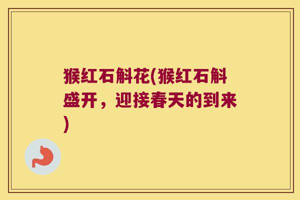 猴红石斛花(猴红石斛盛开，迎接春天的到来)