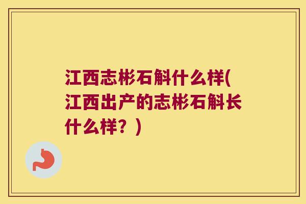 江西志彬石斛什么样(江西出产的志彬石斛长什么样？)