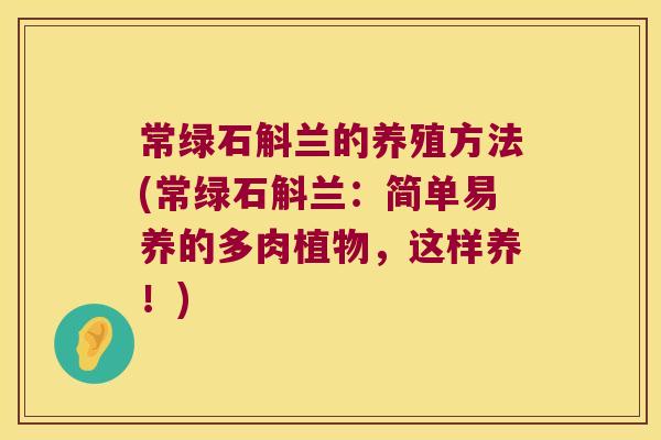 常绿石斛兰的养殖方法(常绿石斛兰：简单易养的多肉植物，这样养！)