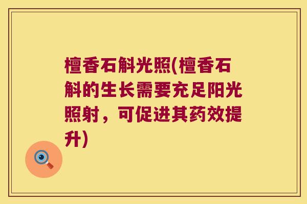 檀香石斛光照(檀香石斛的生长需要充足阳光照射，可促进其药效提升)