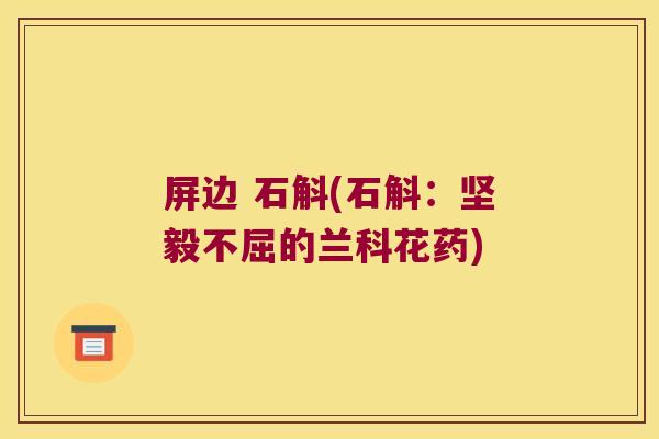 屏边 石斛(石斛：坚毅不屈的兰科花药)