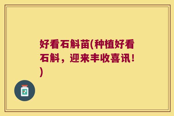 好看石斛苗(种植好看石斛,迎来丰收喜讯!) 好看石斛苗(种植好看石斛,迎来丰收喜讯!)