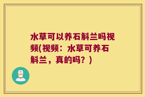水草可以养石斛兰吗视频(视频：水草可养石斛兰，真的吗？)