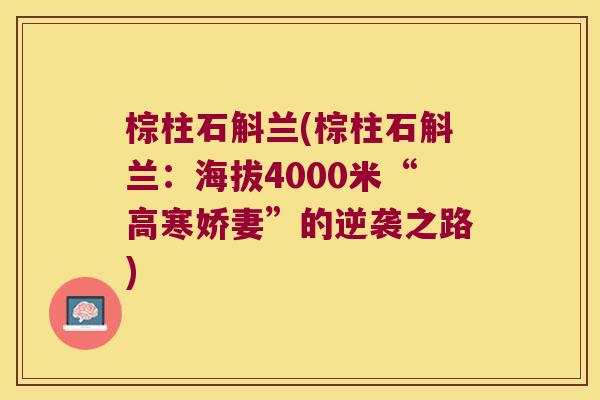 棕柱石斛兰(棕柱石斛兰：海拔4000米“高寒娇妻”的逆袭之路)
