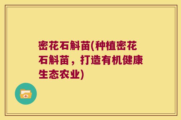 密花石斛苗(种植密花石斛苗，打造有机健康生态农业)