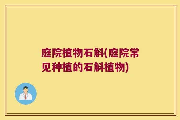 庭院植物石斛(庭院常见种植的石斛植物)