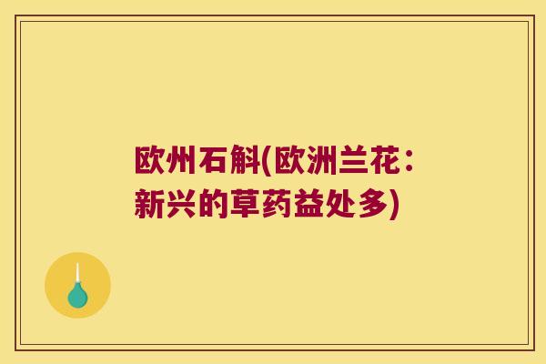 欧州石斛(欧洲兰花：新兴的草药益处多)