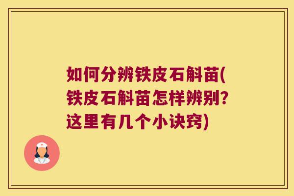 如何分辨铁皮石斛苗(铁皮石斛苗怎样辨别？这里有几个小诀窍)