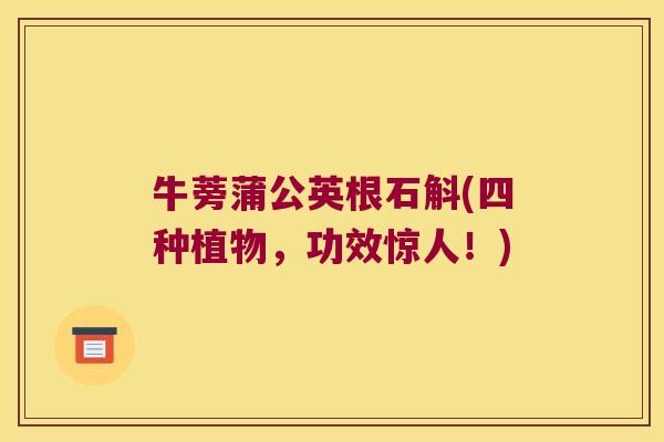 牛蒡蒲公英根石斛(四种植物，功效惊人！)