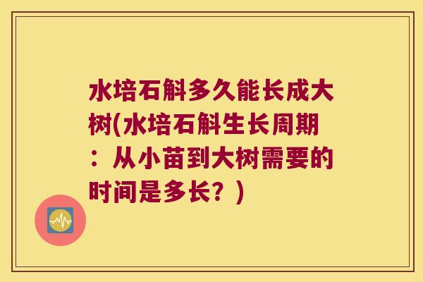 水培石斛多久能长成大树(水培石斛生长周期：从小苗到大树需要的时间是多长？)