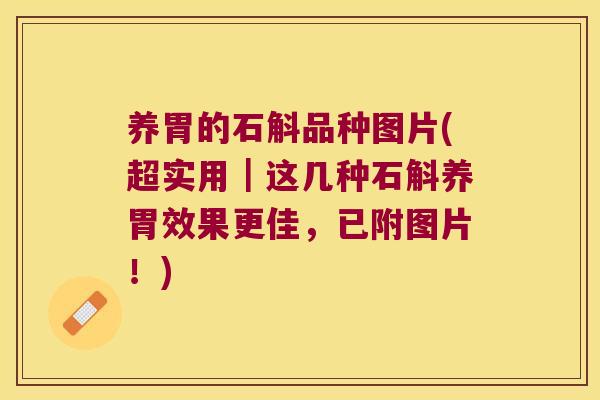 养胃的石斛品种图片(超实用｜这几种石斛养胃效果更佳，已附图片！)