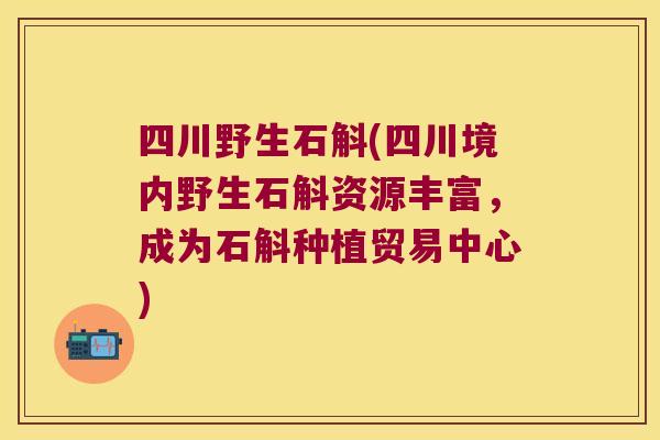 四川野生石斛(四川境内野生石斛资源丰富，成为石斛种植贸易中心)