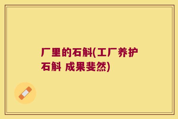 厂里的石斛(工厂养护石斛 成果斐然)
