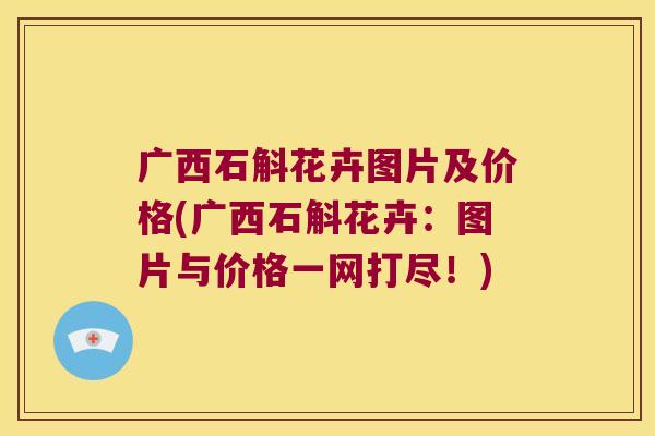 广西石斛花卉图片及价格(广西石斛花卉：图片与价格一网打尽！)