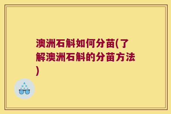 澳洲石斛如何分苗(了解澳洲石斛的分苗方法) 澳洲石斛如何分苗(了解澳洲石斛的分苗方法)