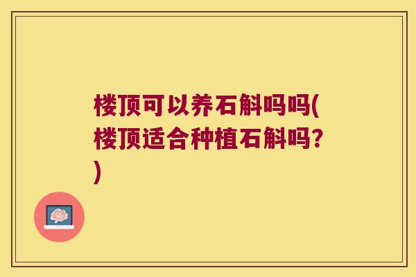 楼顶可以养石斛吗吗(楼顶适合种植石斛吗？)
